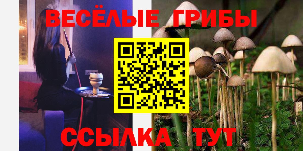 наркотики  Вход с VPN  Сургут  Галлюциногенные грибы Psilocybine cubensis 