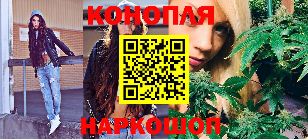 Бошки марихуана OG Kush Сургут